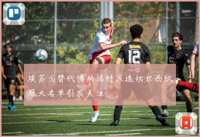 埃苏戈替代博纳诺特入选切尔西欧冠大名单引发关注